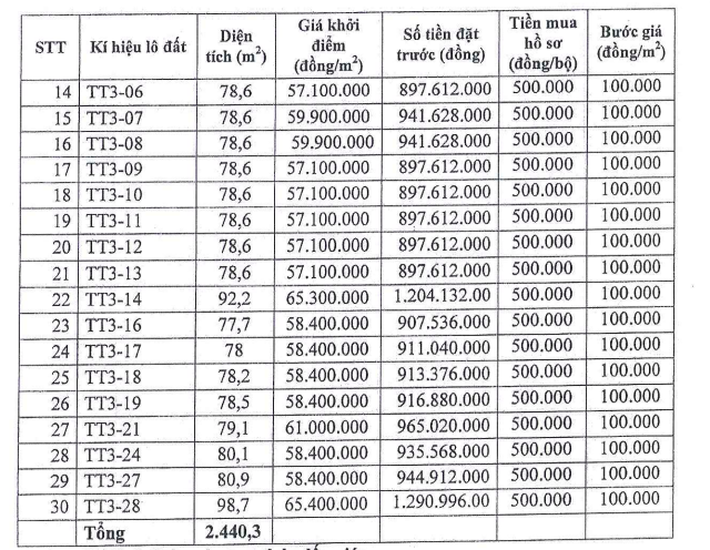 Hết thời sốt nóng, đất nền ven Hà Nội đấu giá chỉ bằng giá khởi điểm ảnh 2