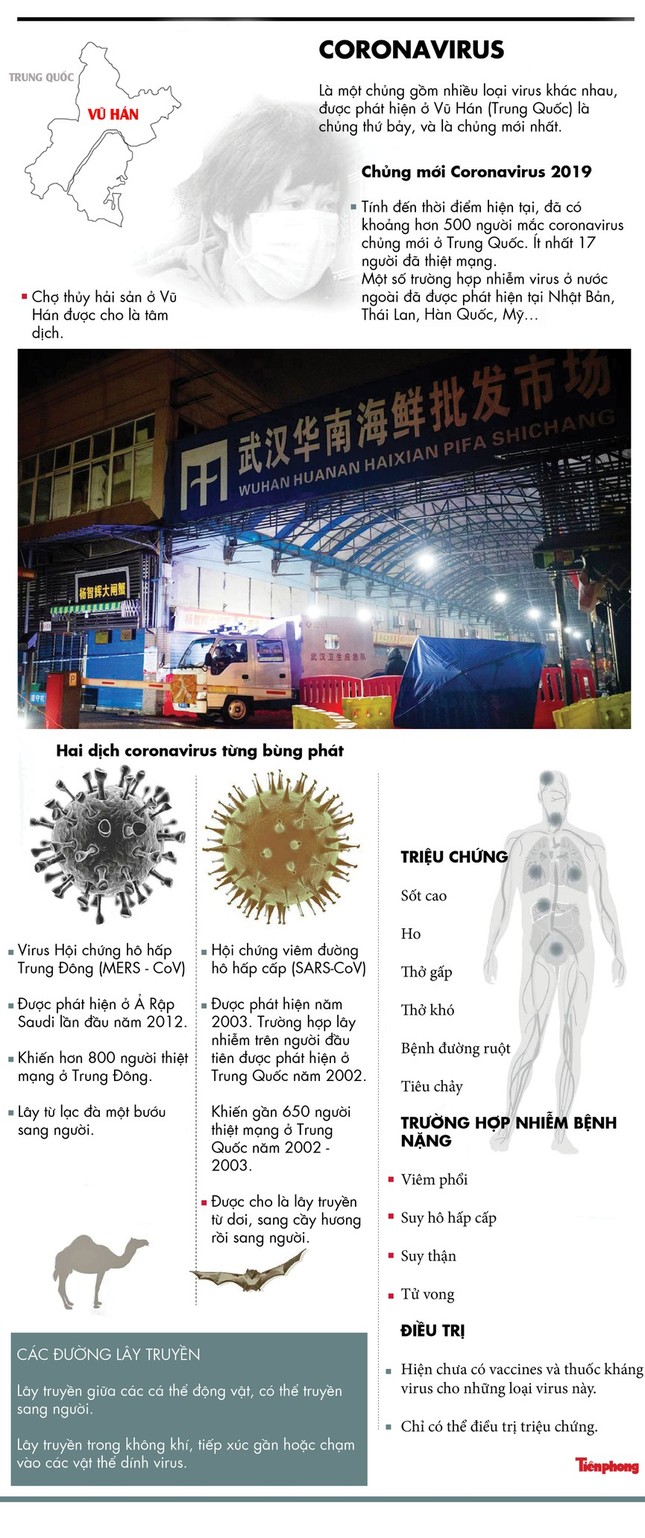 Đà Nẵng cách ly thêm 11 người bị sốt, có 4 người Việt Nam ảnh 2