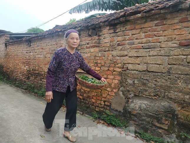Cụ bà bán rau 79 tuổi ủng hộ tiền chống dịch COVID -19 ảnh 2