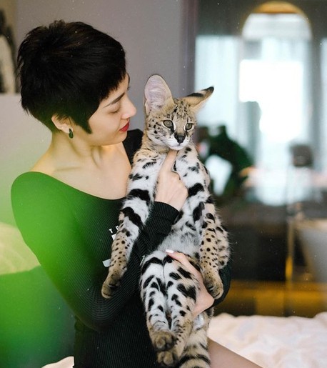 Sao Việt mùa cách ly: Bảo Anh khoe “boss” trăm triệu, nhưng lạ nhất vẫn là Lâm Khánh Chi ảnh 6