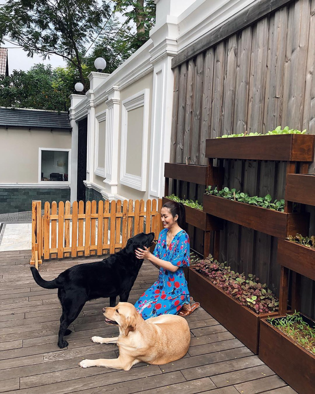 Hội “Nghiện nhà” chấm điểm tổ ấm của sao Việt: Góc sân của Hà Tăng xịn hết phần thiên hạ ảnh 15