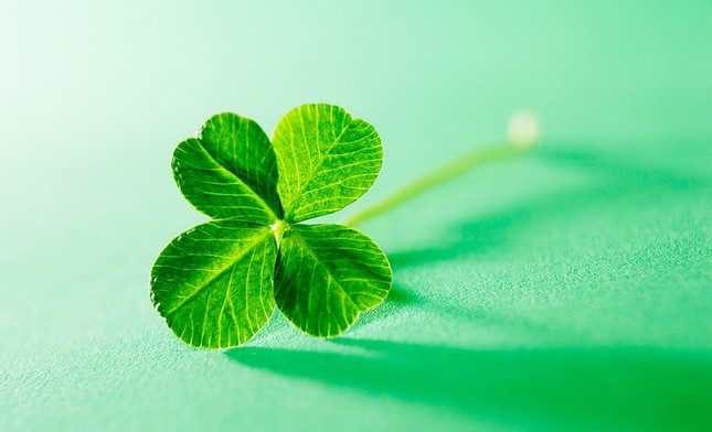 May mắn là một khả năng có thể học hỏi, và đây là cách giúp bạn nắm bắt may mắn của mình ảnh 3