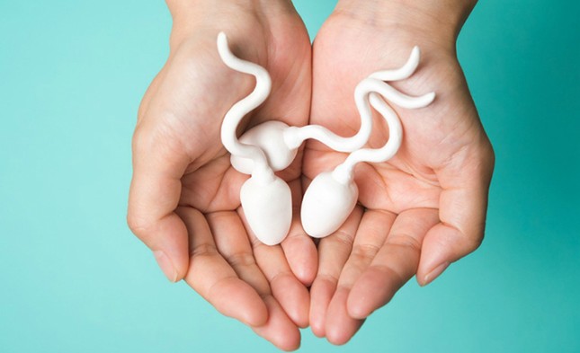Liệu đồ ăn hàng ngày có khả năng làm thay đổi mùi của tinh dịch không? ảnh 1