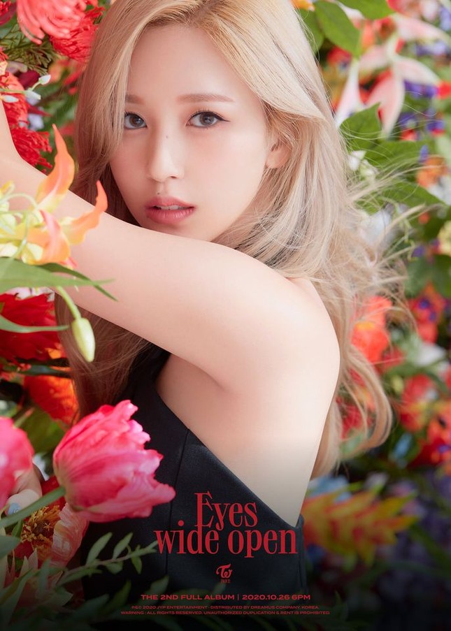 TWICE diện loạt váy đen đắt giá ở ảnh teaser album mới nhưng vẫn bị netizen Hàn chê bai ảnh 12