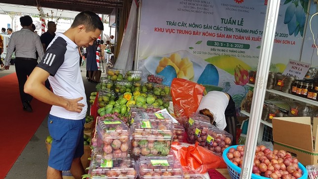 Vào hè, trái cây vùng miền đổ bộ hội chợ trái cây, nông sản Hà Nội ảnh 2
