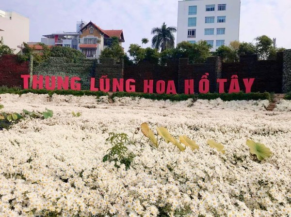 Sai phạm đất đai tràn lan ở 'Thung lũng hoa Hồ Tây' ảnh 1