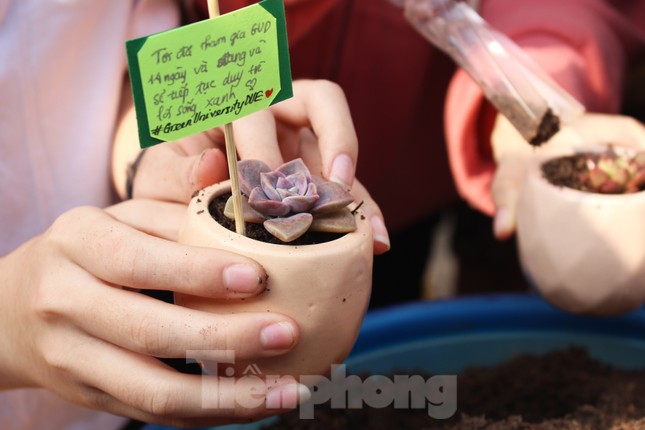 Giới trẻ Đà Nẵng hào hứng với thử thách sống xanh ảnh 5