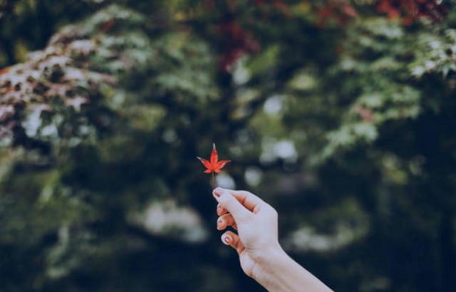 Làm gì khi phải nghe những lời nói gây sát thương trong lúc nóng giận của bố mẹ? ảnh 2