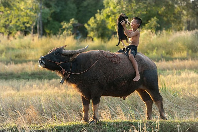 Cuộc thi viết Trà sữa cho tâm hồn: Những ống bơ mùa Đông ấm mãi tuổi thơ tôi ảnh 2