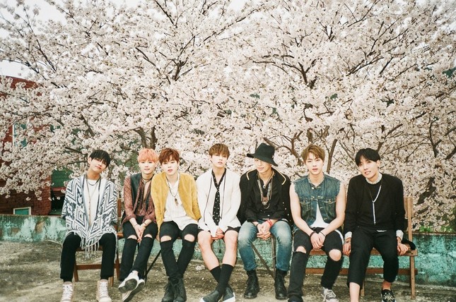 Trong thế giới fangirl: Chiếc máy nghe nhạc màu tím, BTS và thanh xuân của một cô gái nhỏ ảnh 3