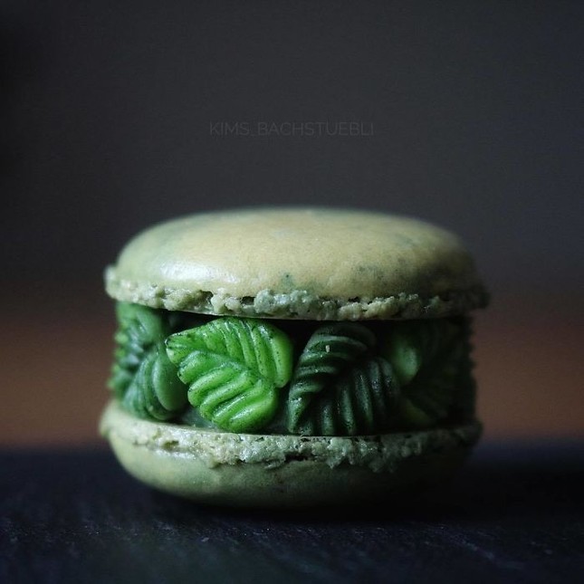 Những chiếc bánh Macaron siêu sang chảnh, đẹp đến mức không ai nỡ ăn ảnh 5