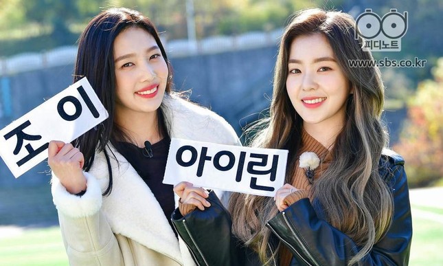 Joy (Red Velvet) bỗng dưng hứng chịu vô số lời công kích vô lý chỉ vì cùng nhóm với Irene ảnh 1