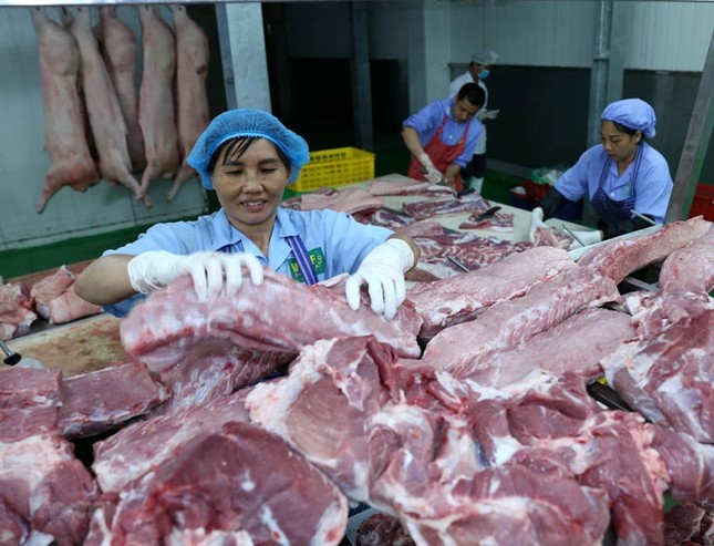 Chuỗi liên kết chăn nuôi phát huy hiệu quả, tăng nguồn cung thực phẩm cho dịp Tết ảnh 2