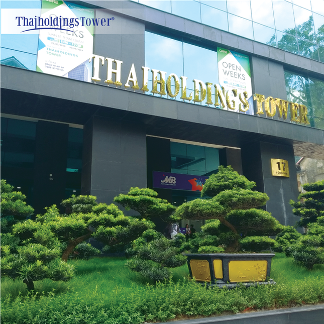 Thaiholdings kiện toàn bộ máy lãnh đạo, bổ sung ngành nghề kinh doanh ảnh 1