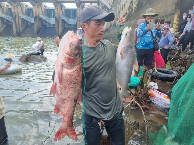 Thủy điện Trị An ngưng xả lũ, người dân 'được mùa' săn cá khủng ảnh 5