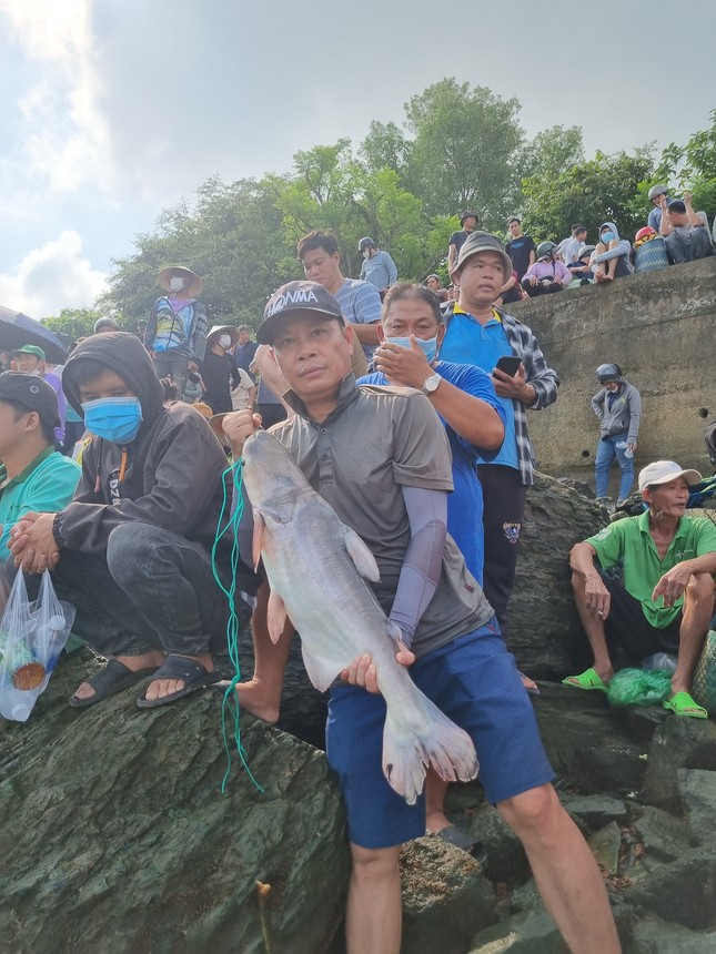 Thủy điện Trị An ngưng xả lũ, người dân 'được mùa' săn cá khủng ảnh 7