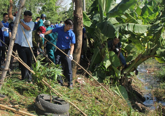 Tuổi trẻ TPHCM sôi nổi ra quân các chương trình, chiến dịch tình nguyện hè 2020 ảnh 7