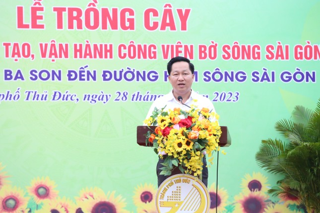 Ven bờ sông Sài Gòn được phủ 'cánh đồng hoa hướng dương' ảnh 1
