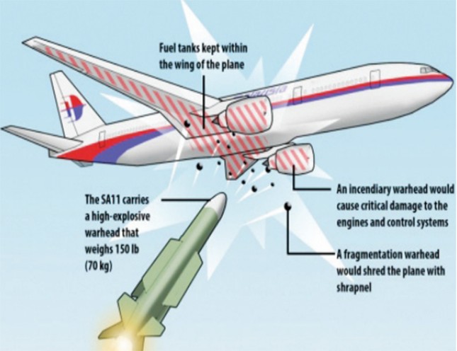 Một số gia đình nạn nhân MH17 định kiện ông Putin ảnh 1