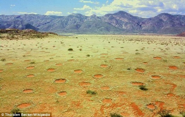 Hình tròn bí ẩn nghi dấu vết người ngoài hành tinh ở Australia ảnh 2