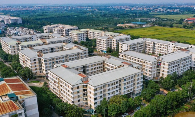 Phân lô 'băm nát' Đảo Ngọc, chung cư nhà ở xã hội vừa bàn giao đã thấm nước ảnh 6