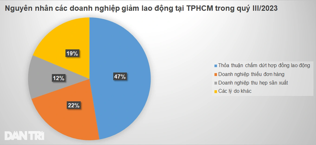 Nhiều dấu hiệu tích cực, TPHCM cần tuyển 75.000 lao động dịp cuối năm ảnh 2