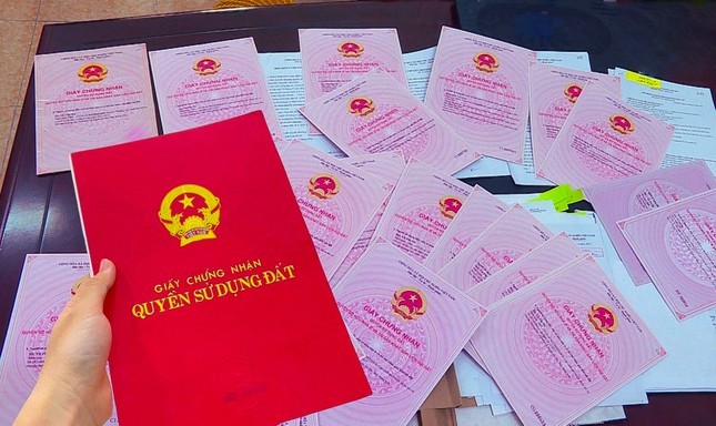 Đấu giá đất khởi điểm 250 triệu/m2 gây 'choáng', đất không giấy tờ sẽ được cấp sổ đỏ thế nào? ảnh 1
