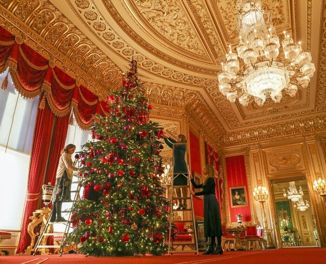 Nơi đầu tiên ở Anh xuất hiện cây thông Noel?