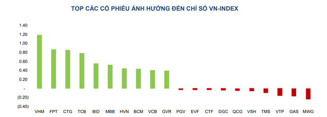 Cổ phiếu nào đang nâng đỡ thị trường chứng khoán? ảnh 1