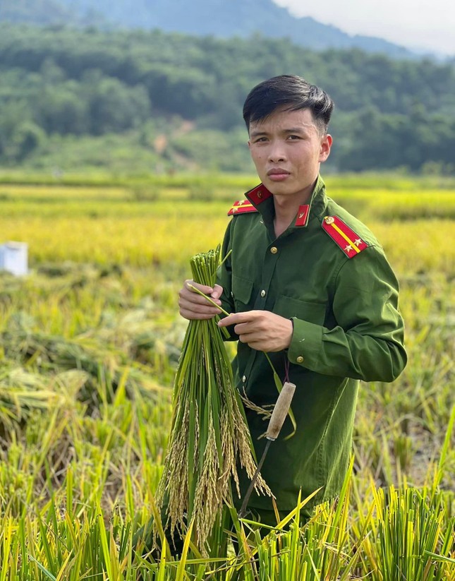 Đoàn viên thanh niên, công an đội nắng thu hoạch lúa giúp người dân ảnh 7