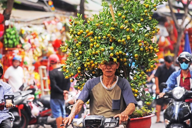 Tất bật chở Tết về nhà ngày cuối năm ảnh 2