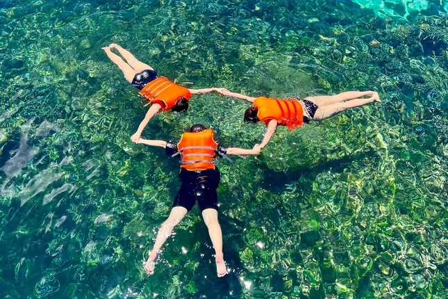 Xôn xao 'ổ rắn độc nhất thế giới' ở đảo Phú Quý khiến du khách hoang mang ảnh 4