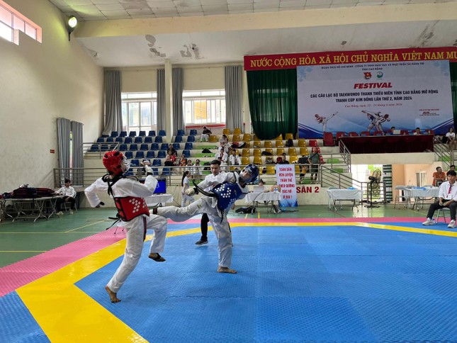 Sôi nổi Festival các câu lạc bộ Taekwondo thanh thiếu niên tỉnh Cao Bằng mở rộng ảnh 7