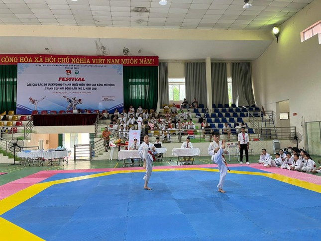 Sôi nổi Festival các câu lạc bộ Taekwondo thanh thiếu niên tỉnh Cao Bằng mở rộng ảnh 9