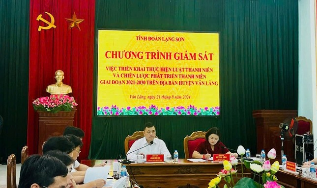 Giám sát thực hiện Luật Thanh niên và chiến lược phát triển thanh niên Việt Nam ảnh 3