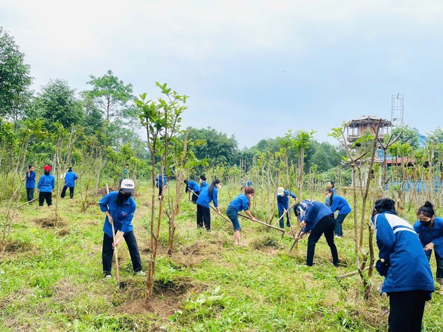 Nhiều hoạt động ý nghĩa hưởng ứng tình nguyện mùa Đông ảnh 2