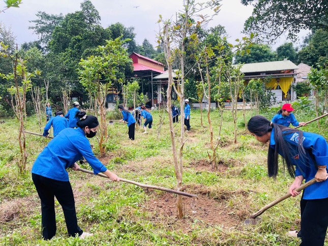 Nhiều hoạt động ý nghĩa hưởng ứng tình nguyện mùa Đông ảnh 1