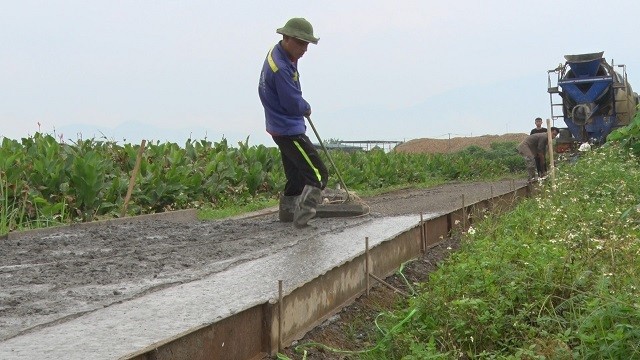 Đấu giá hàng trăm nghìn m2 đất nông nghiệp tại Ba Vì ảnh 1