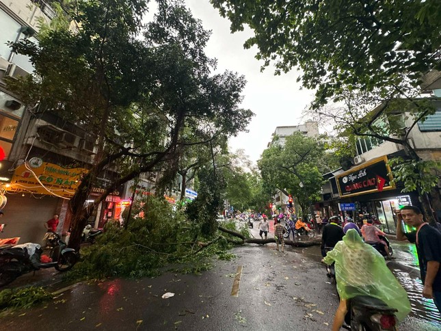 Siêu bão YAGI: Hà Nội mưa lốc, cây bật gốc đè ô tô, người dân tháo chạy về nhà ảnh 4