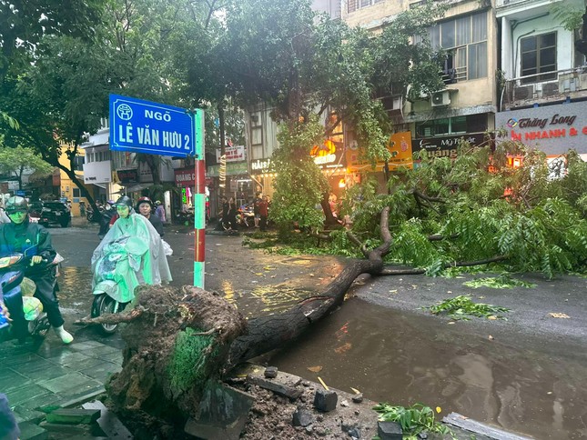 Siêu bão YAGI: Hà Nội mưa lốc, cây bật gốc đè ô tô, người dân tháo chạy về nhà ảnh 3