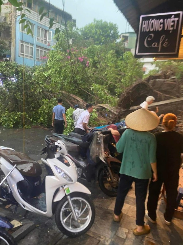 Siêu bão YAGI: Hà Nội mưa lốc, cây bật gốc đè ô tô, người dân tháo chạy về nhà ảnh 7