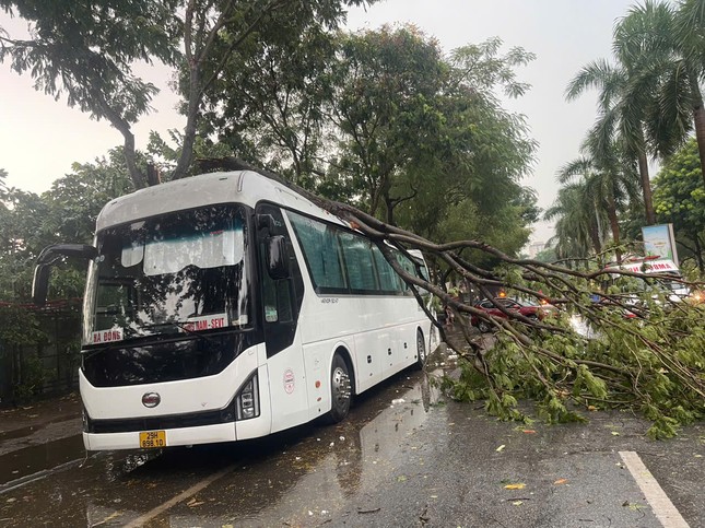 Siêu bão YAGI: Hà Nội mưa lốc, cây bật gốc đè ô tô, người dân tháo chạy về nhà ảnh 1