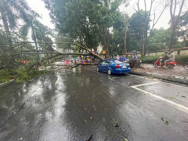 Siêu bão YAGI: Hà Nội mưa lốc, cây bật gốc đè ô tô, người dân tháo chạy về nhà ảnh 2