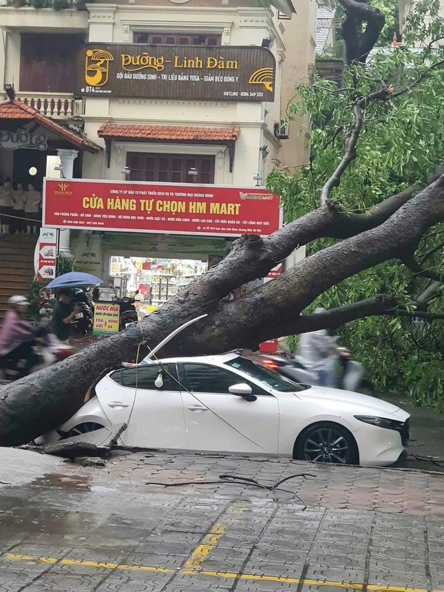 Siêu bão YAGI: Hà Nội cȃy ᵭổ ʟa ʟiệt, ᵭã có trường hợp tử ⱱoոɢ - Ảnh 42.