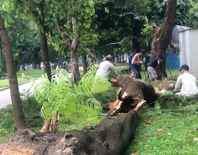 Siêu bão YAGI: Hà Nội mưa lốc, cây bật gốc đè ô tô, người dân tháo chạy về nhà ảnh 9