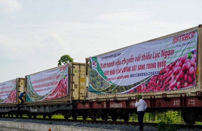 Thủ tướng: Tăng xuất khẩu nông sản sang Trung Quốc bằng đường sắt ảnh 1