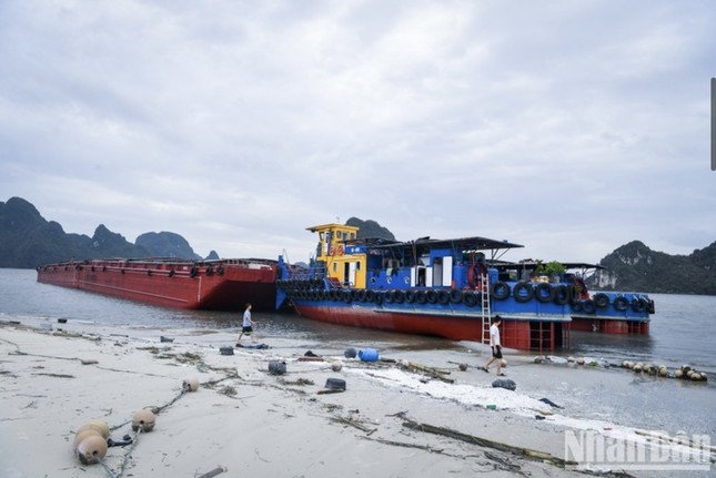 12 giờ sinh tử tìm đường sống từ biển khơi để trở về ảnh 3