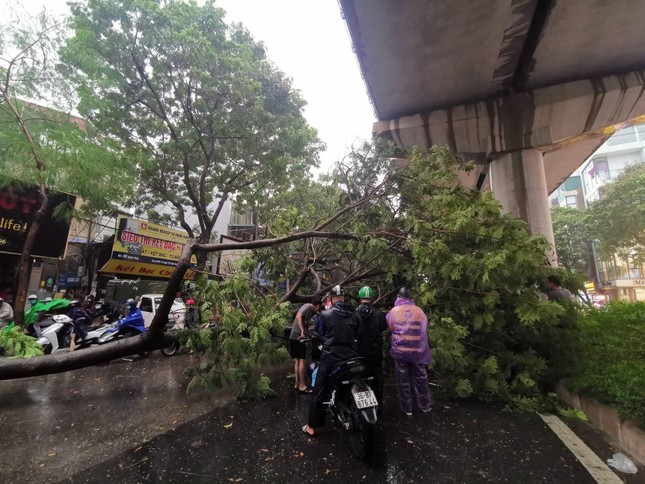 Gió giật cấp 10 có thể 'càn quét' Hà Nội do siêu bão YAGI ảnh 1