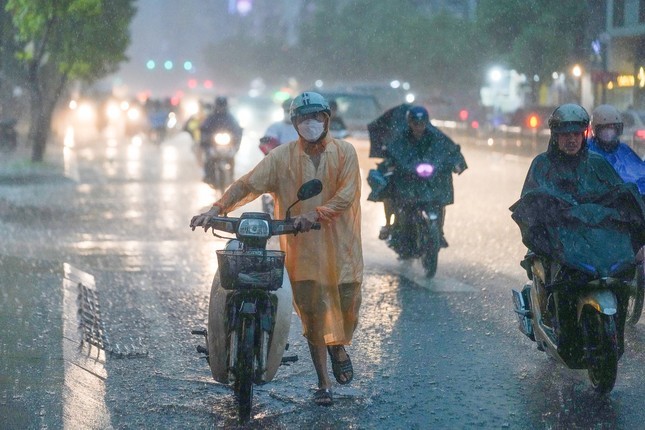 TPHCM có thể đón mưa rào và dông cục bộ trong chiều tối nay. Ảnh minh hoạ: Phạm Nguyễn.