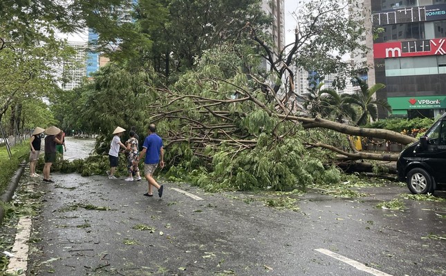 ‘Giá vàng’ và ‘bão Yagi’ được tìm kiếm nhiều nhất năm 2024 ảnh 2